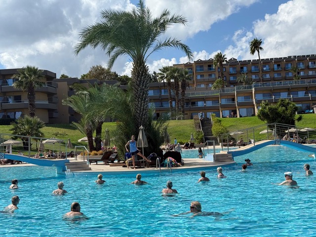 73ed9113-f5d2-455a-9287-b5f0a790adcc